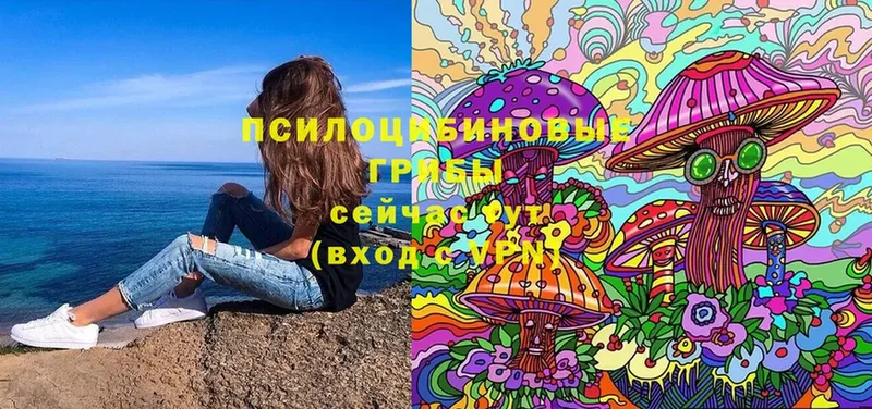 Псилоцибиновые грибы Cubensis  это состав  Жуковка  цена наркотик 